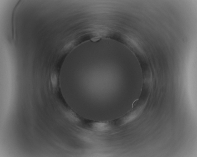 X0000114030139200910021446