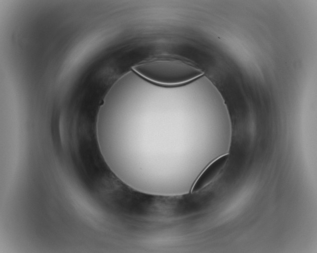 X0000114030140200910021446