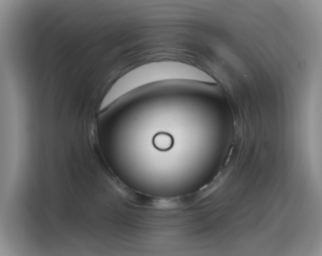 X0000114030141200910021446