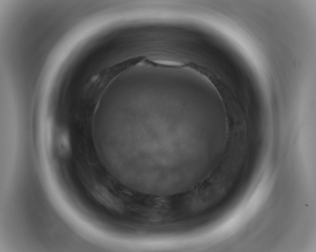 X0000114030143200910021446