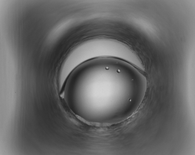 X0000114030146200910021445