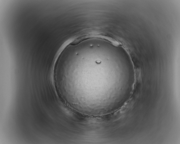 X0000114030147200910021445