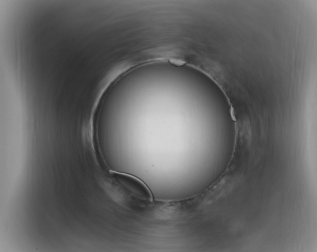 X0000114030148200910021445