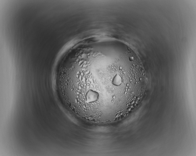 X0000114030149200910021445