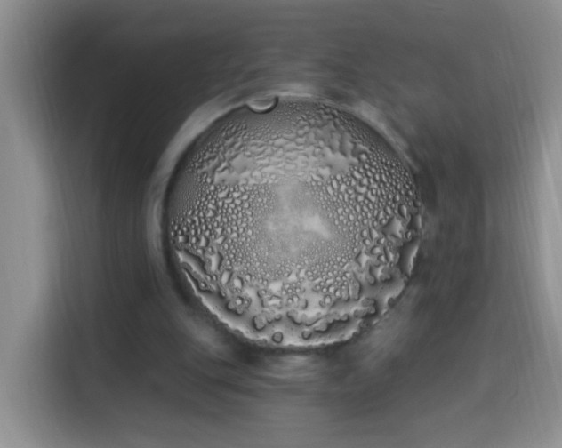 X0000114030151200910021445