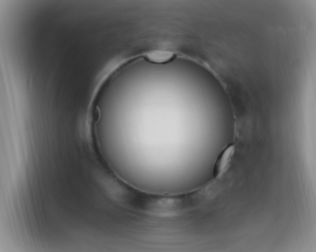 X0000114030152200910021445