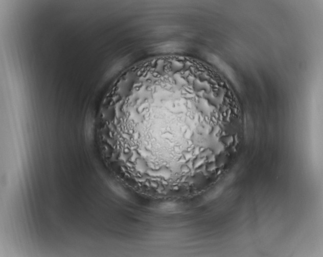 X0000114030153200910021445