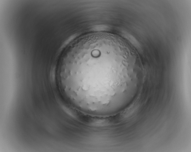 X0000114030155200910021445