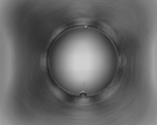 X0000114030156200910021445
