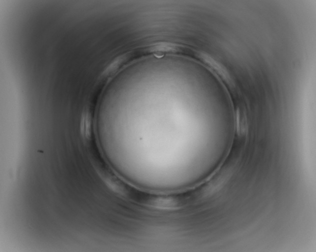 X0000114030157200910021445