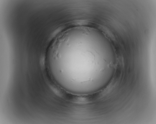 X0000114030159200910021445