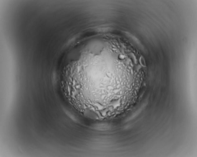 X0000114030161200910021445