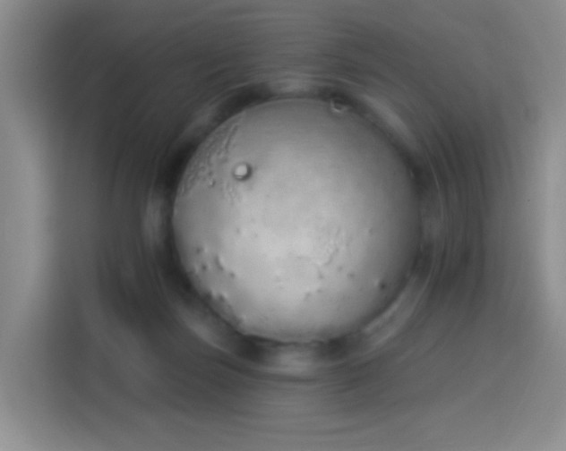 X0000114030171200910021446