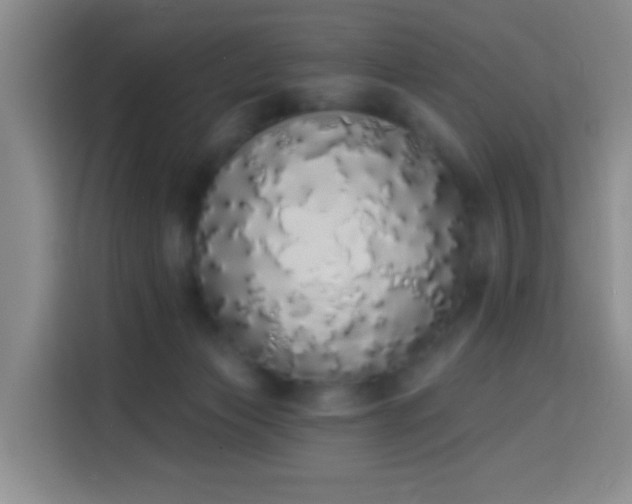 X0000114030173200910021446