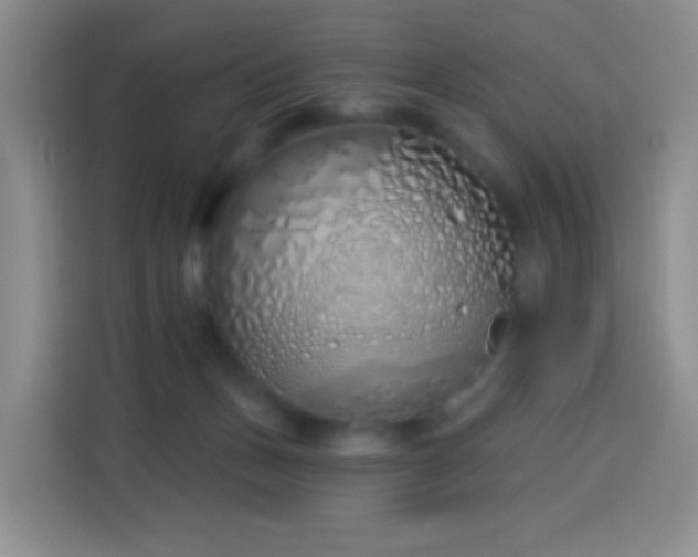 X0000114030175200910021446