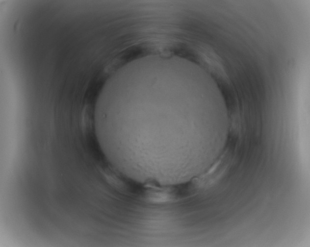 X0000114030179200910021446