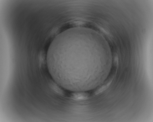 X0000114030181200910021446