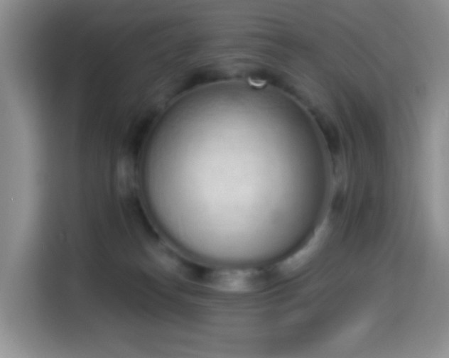 X0000114030182200910021446