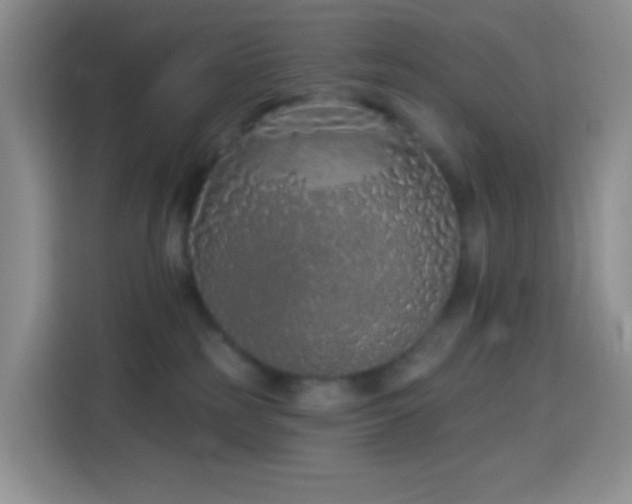 X0000114030185200910021446