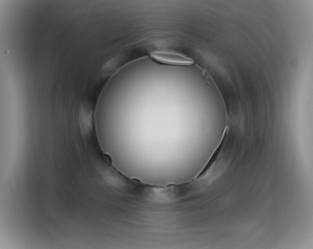 X0000114030188200910021446
