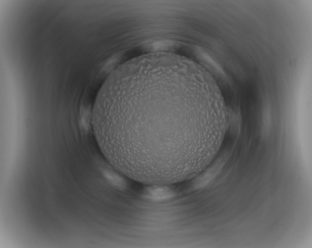 X0000114030189200910021446