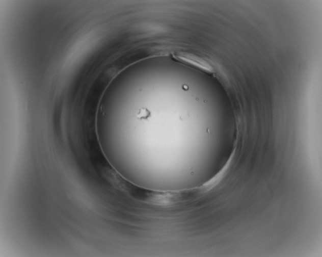 X0000114030190200910021446