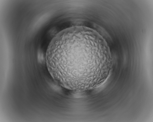 X0000114030191200910021446