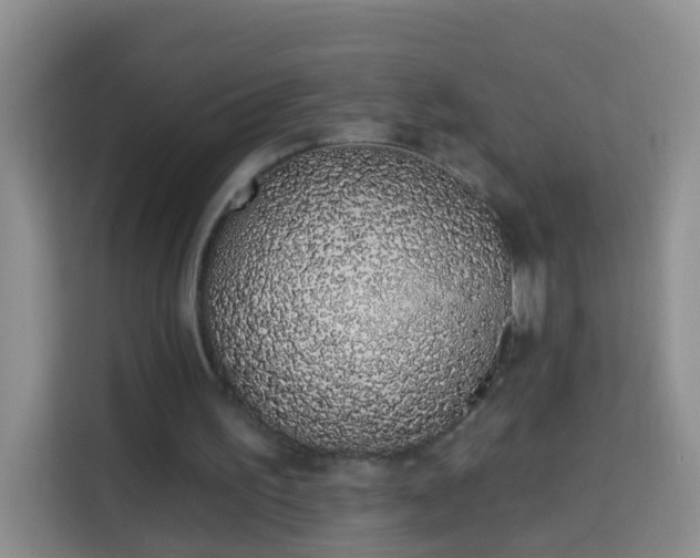 X0000114030195200910021445