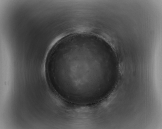X0000114030196200910021445