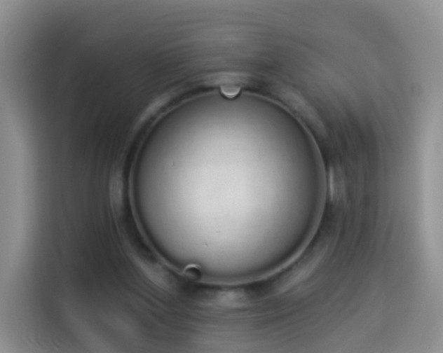 X0000114030204200910021445