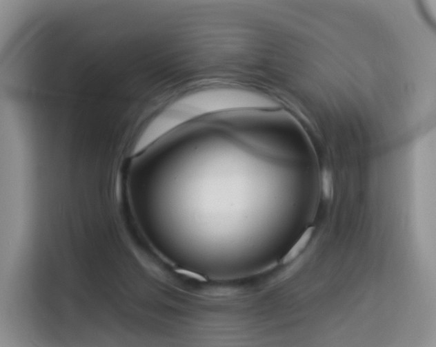 X0000114030205200910021445