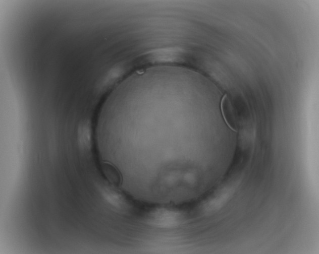X0000114030207200910021445