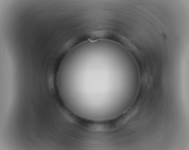 X0000114030209200910021445