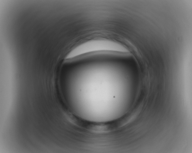 X0000114030217200910021445