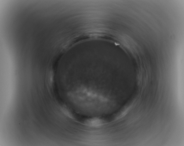 X0000114030219200910021445