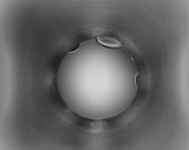 X0000114030225200910021445