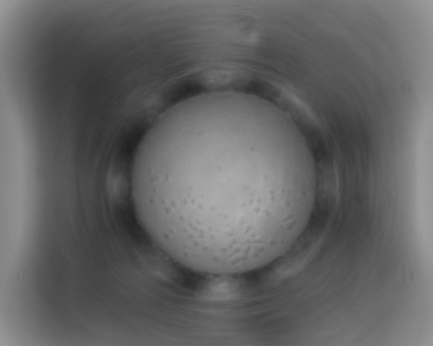 X0000114030226200910021445