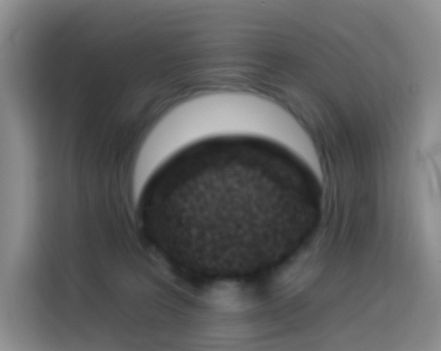 X0000114030227200910021445