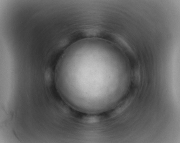 X0000114030228200910021445