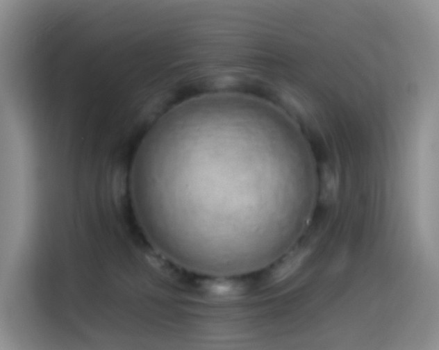 X0000114030230200910021445