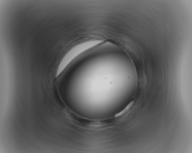 X0000114030231200910021445