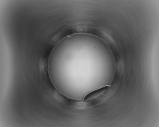 X0000114030233200910021445