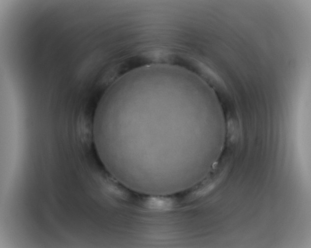 X0000114030234200910021445