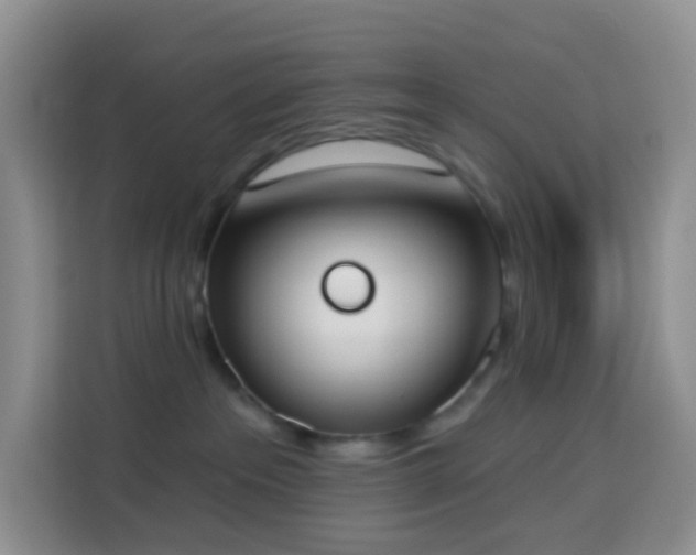 X0000114030237200910021445