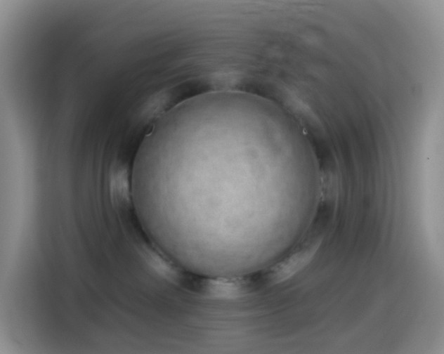 X0000114030238200910021445