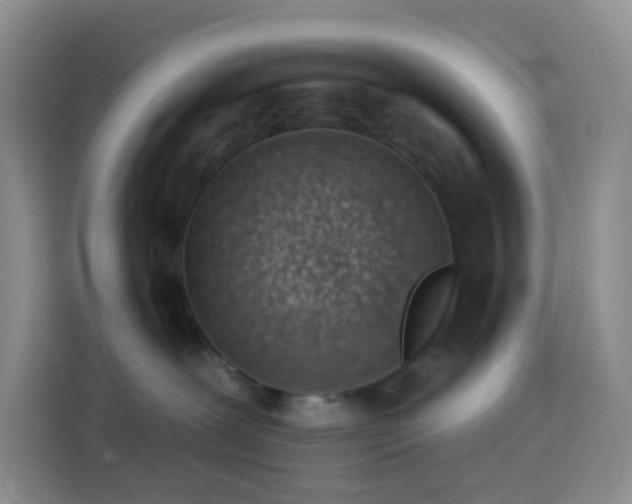 X0000114030239200910021445
