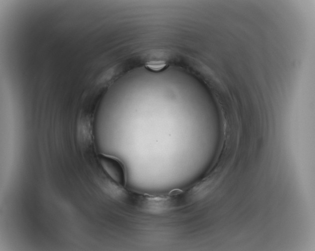 X0000114030240200910021445