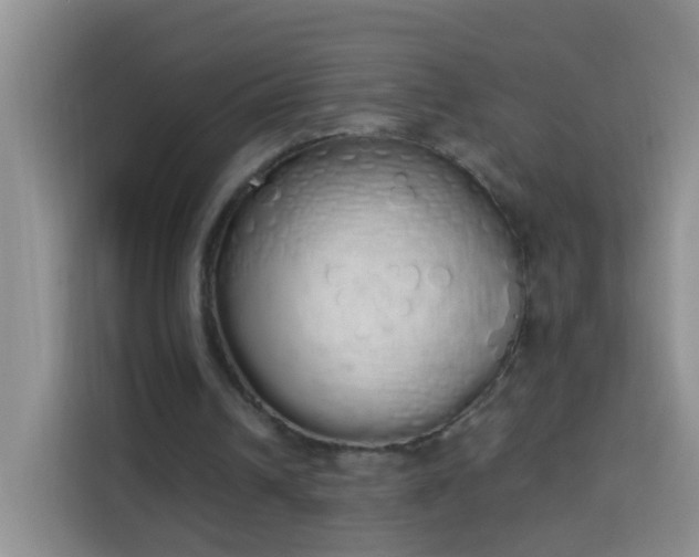 X0000114030242200910021444