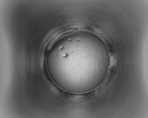 X0000114030243200910021444