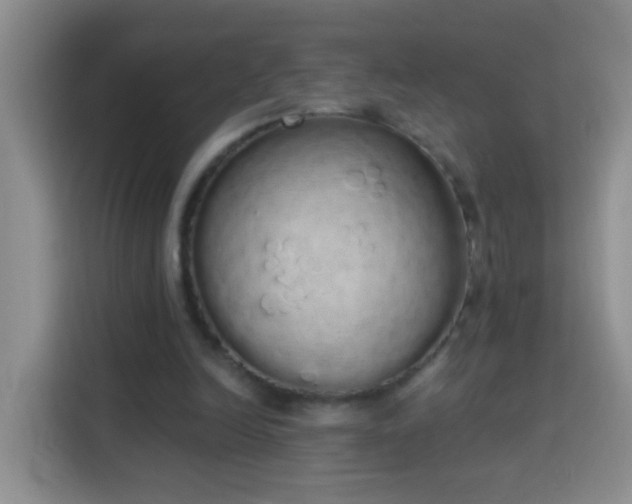 X0000114030246200910021444